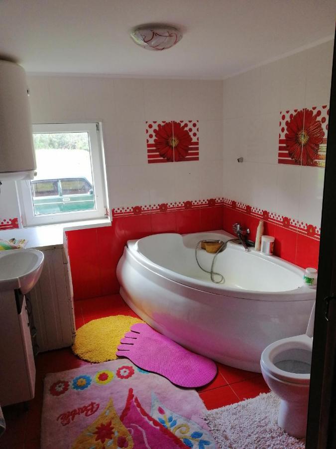 Villa У Катерини Dvozhets Esterno foto