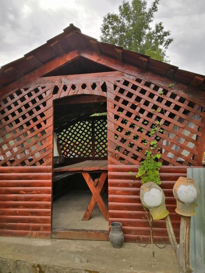 Villa У Катерини Dvozhets Esterno foto